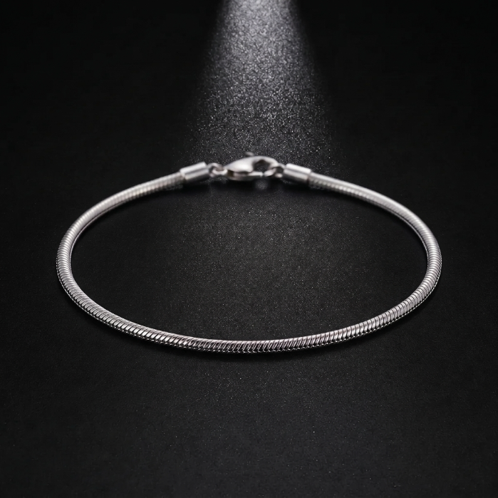 Snake bracelet | Silver