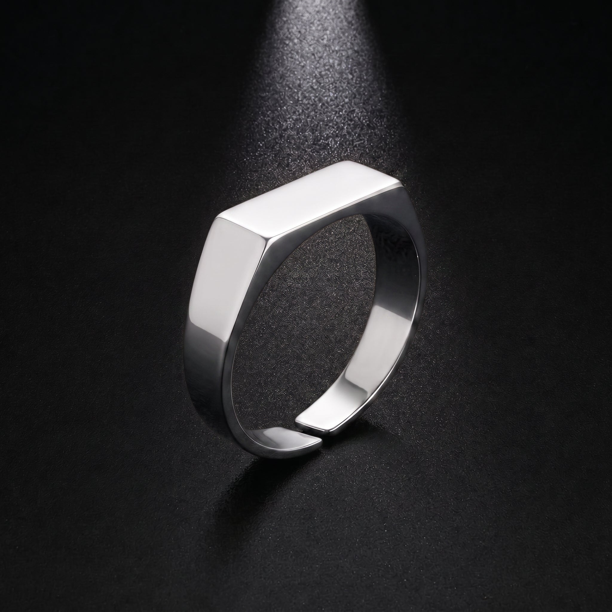Signet Ring | Silver