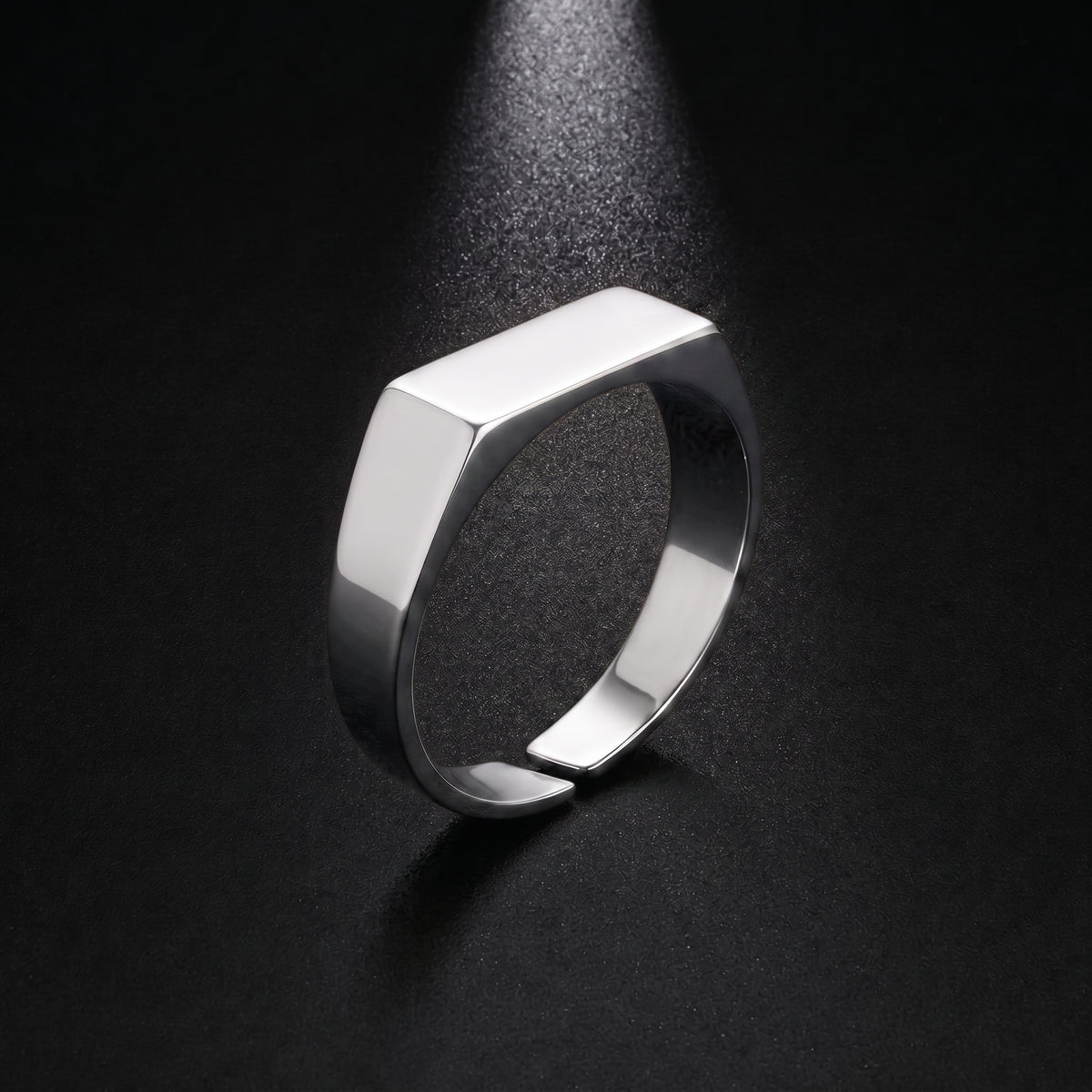 Signet Ring | Silver