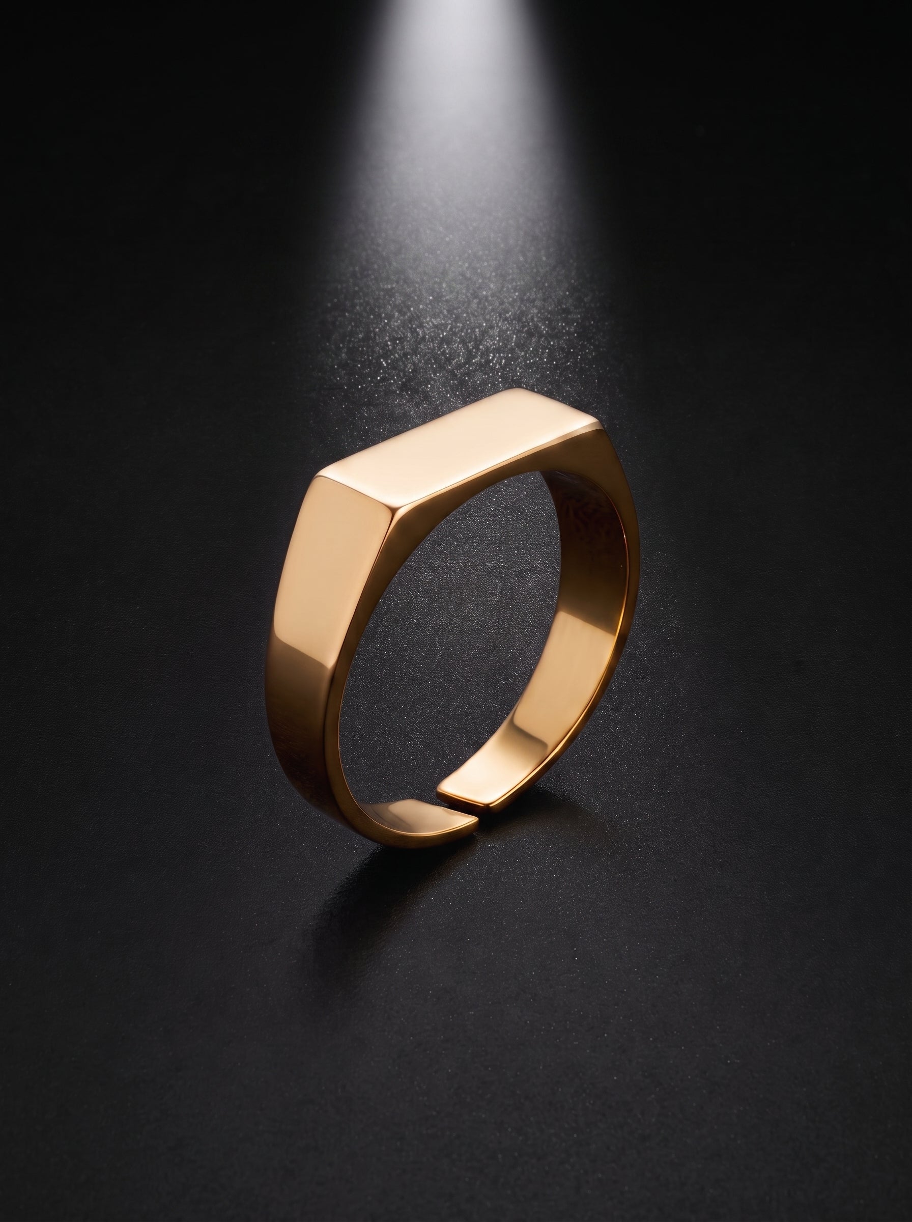 Signet Ring | Gold
