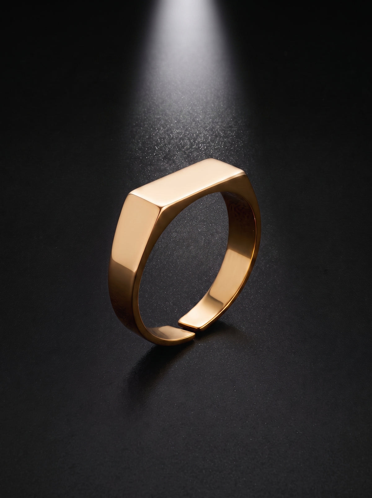 Signet Ring | Gold